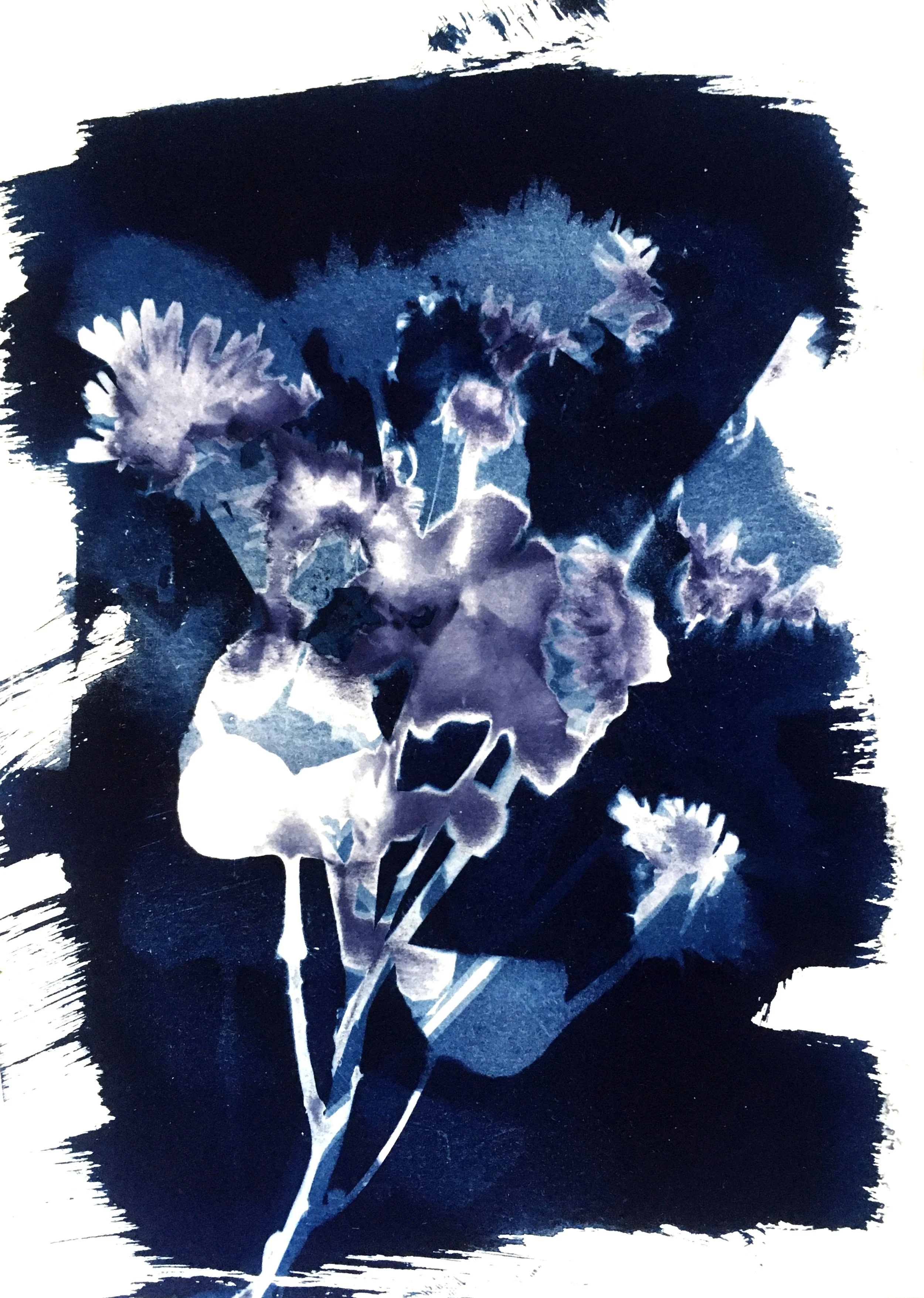 Flowers.jpg