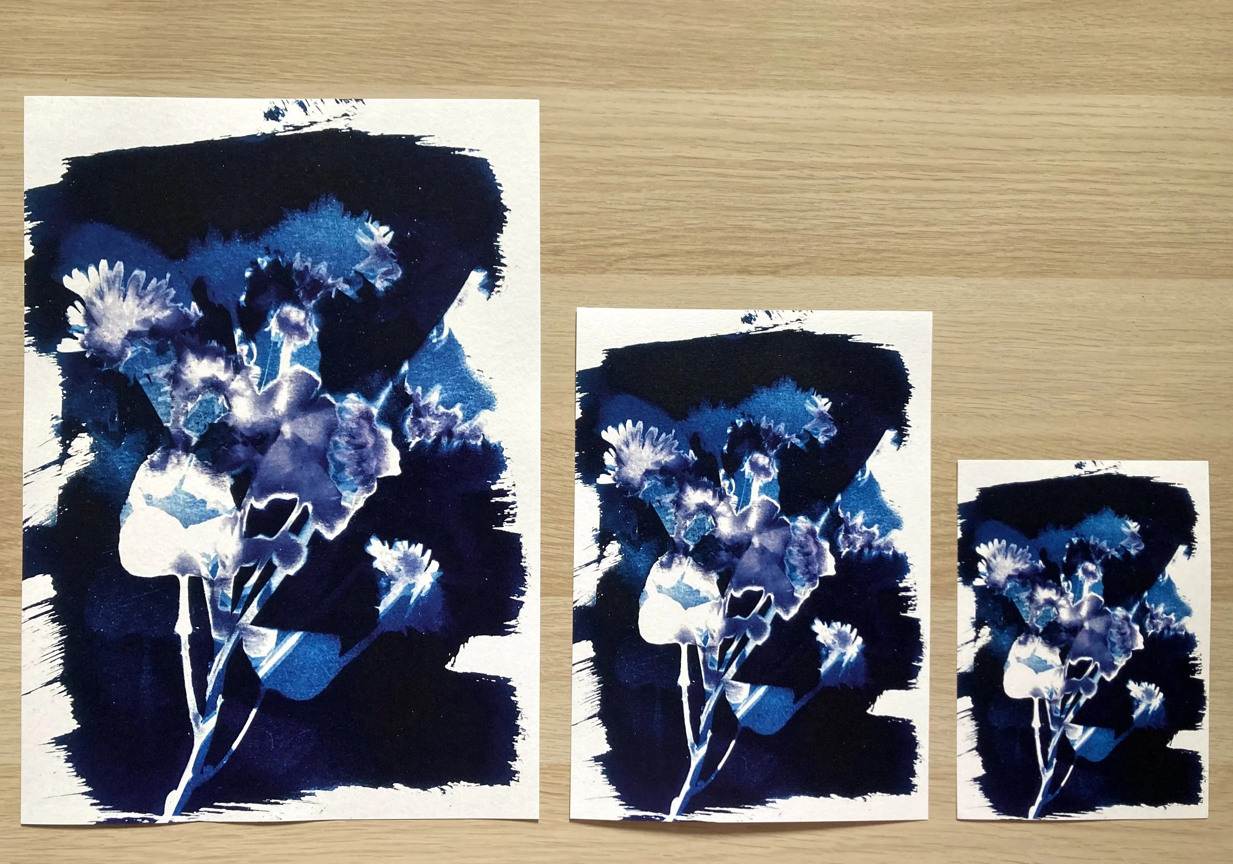 all sizes flowers.jpg