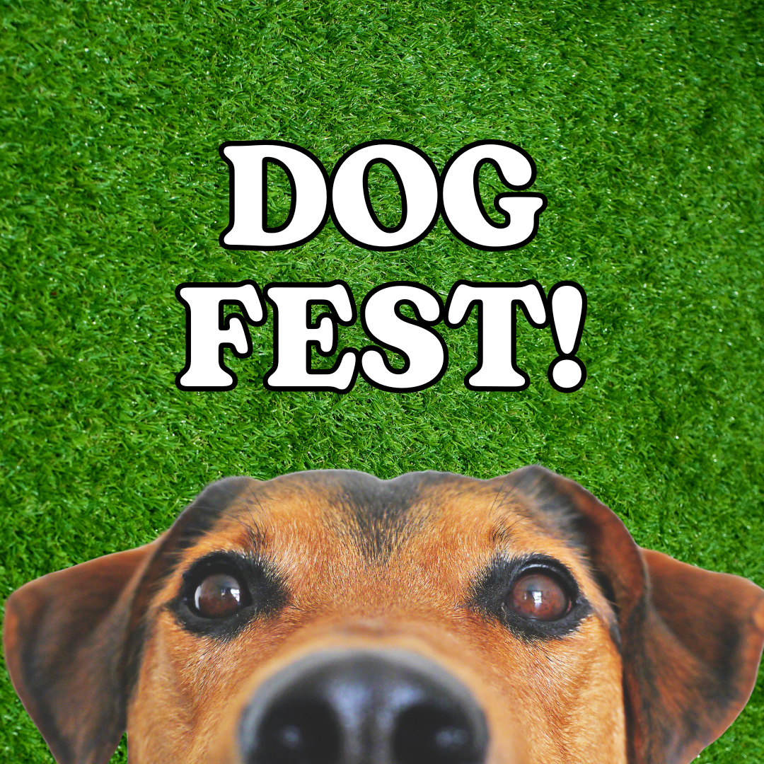 Dog Fest!