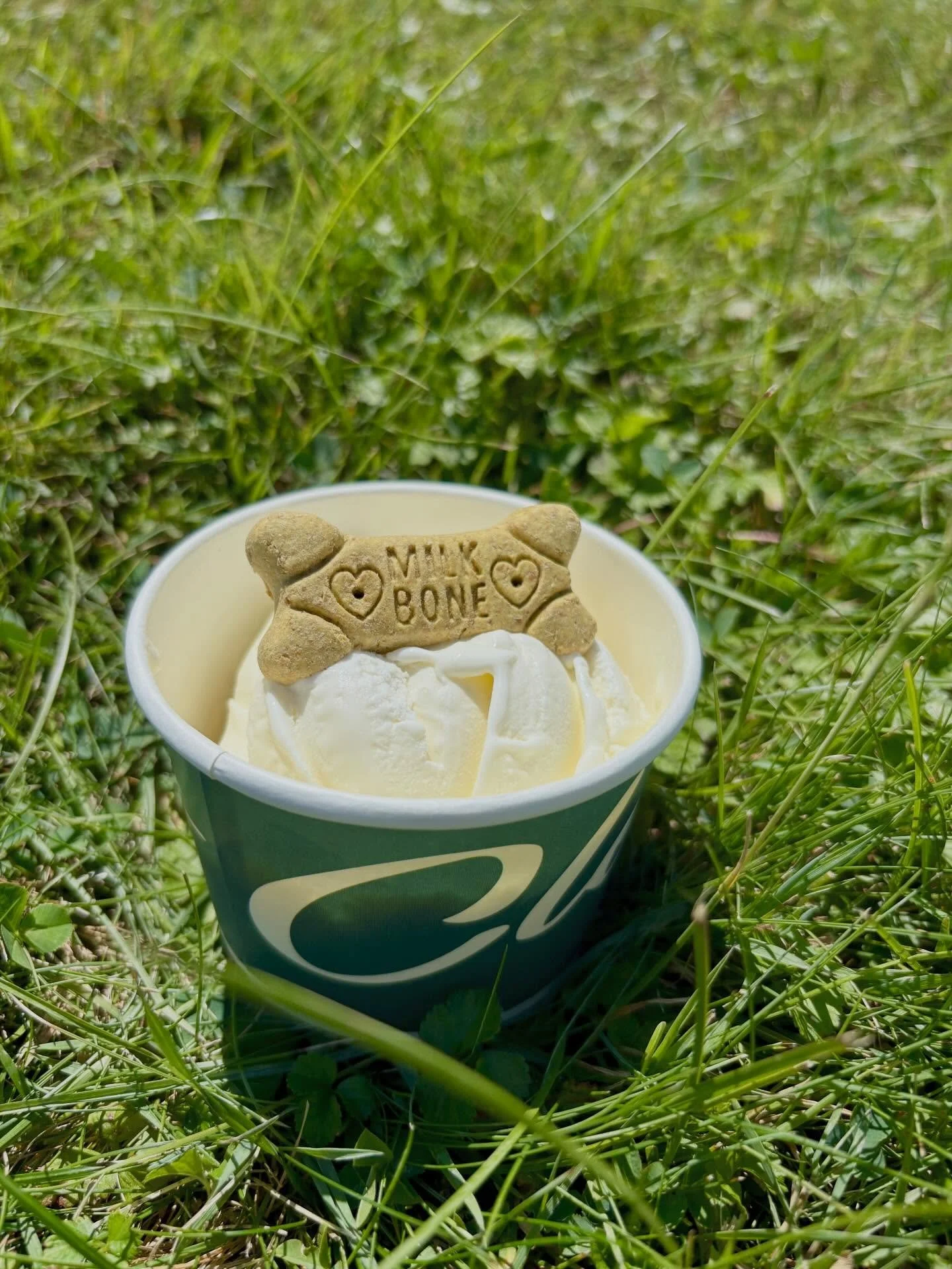 for our furry customers &amp; their families 🐶🐶

our EG location is currently collecting pet supplies for donation. you can place items in the box at the shop today through 4/12 ❤️