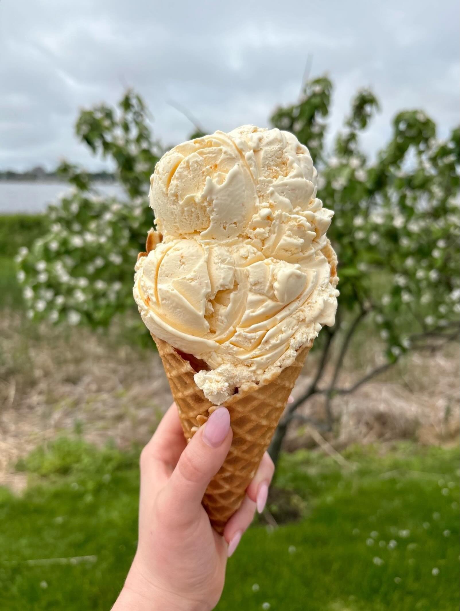 you&rsquo;ve been patiently waiting and we&rsquo;re happy to announce&hellip;

IT&rsquo;S OFFICIALLY PEACH &amp; BANANA TIME!

arriving in all 3 shops tomorrow for the regular season 🍌🍑