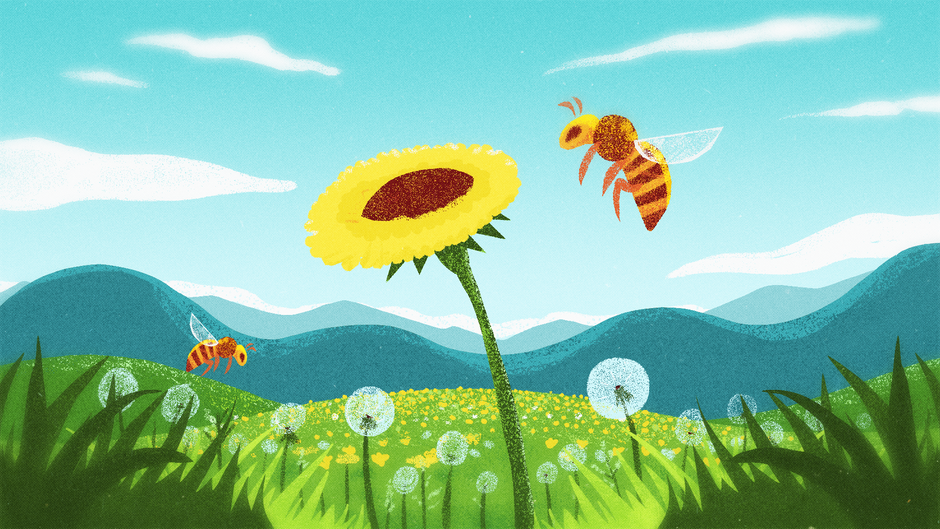 Mongabay_concept_B1.png