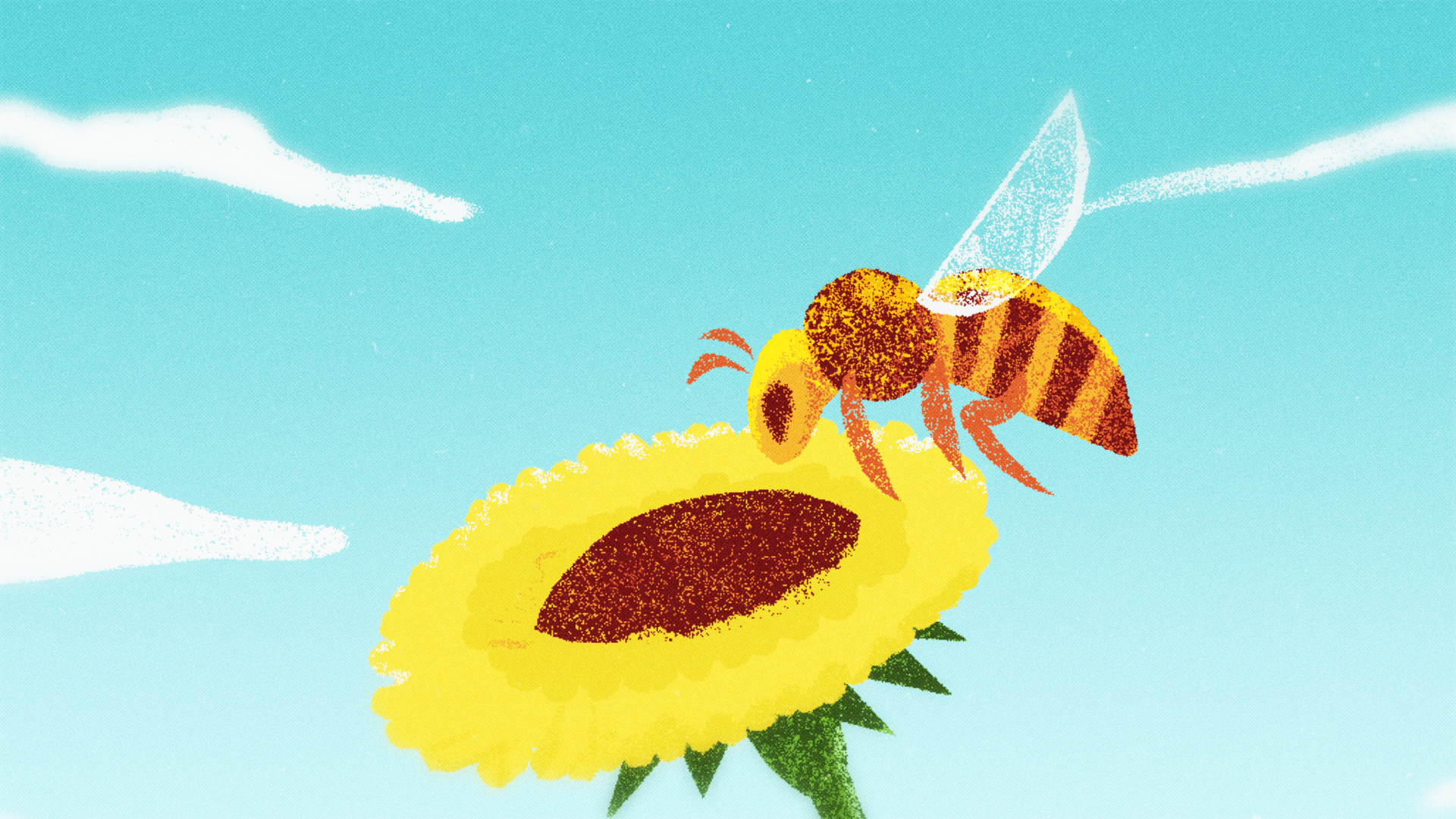 Mongabay_concept_B2.png