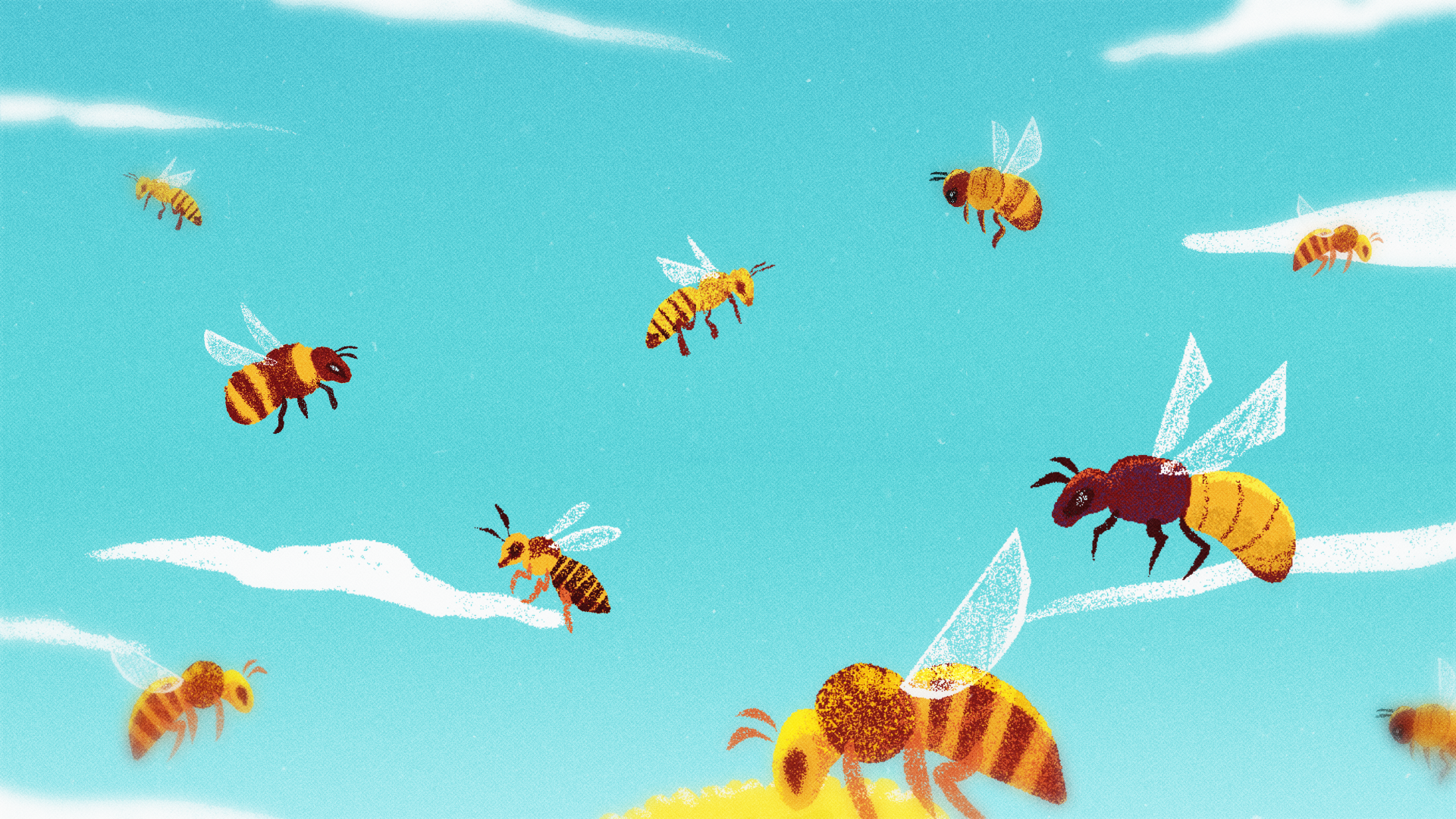 Mongabay_concept_B3.png