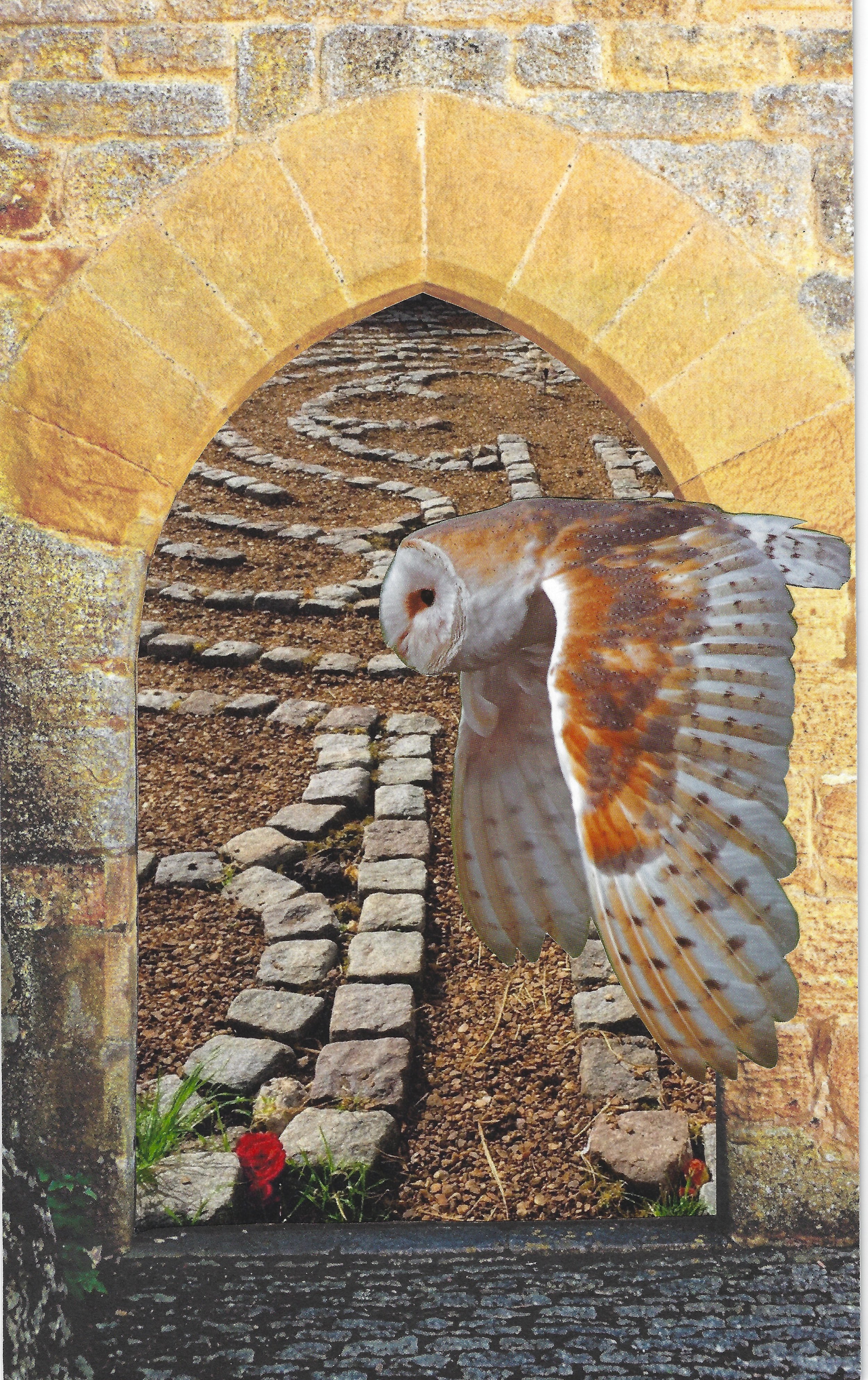 OwlLabyrinthSC.jpeg