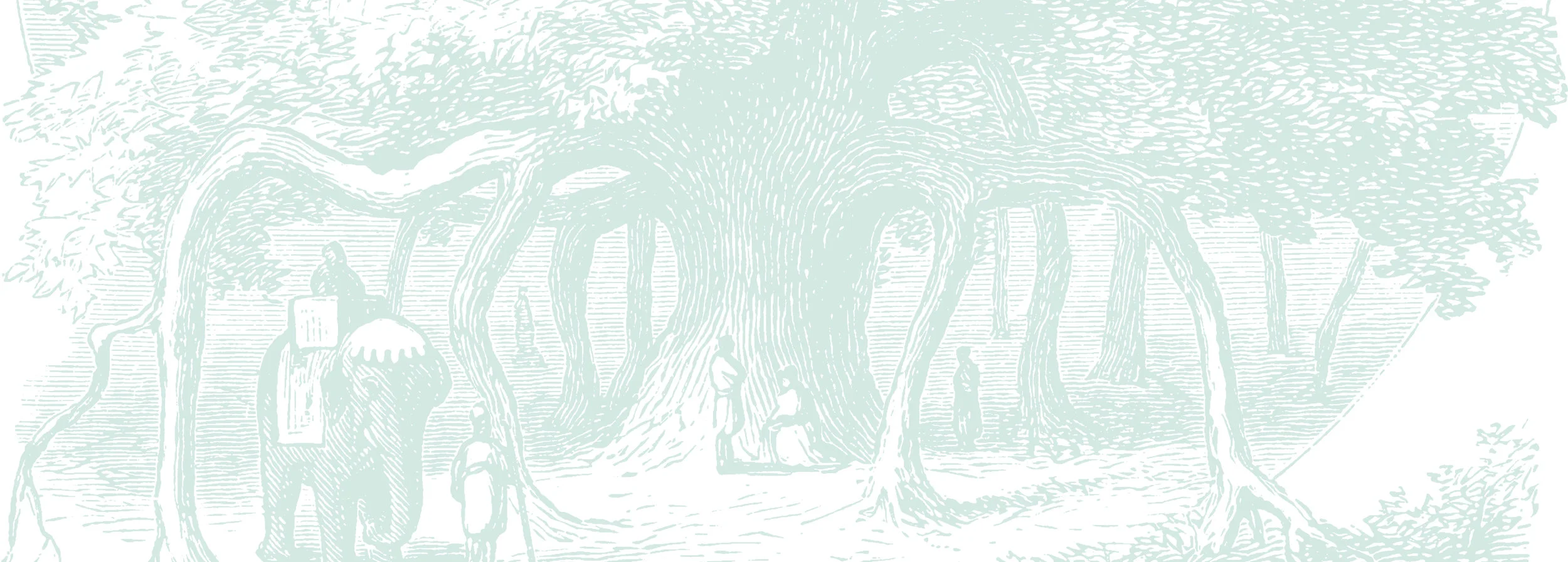 Header_Test_banyan-illustration_2.jpg