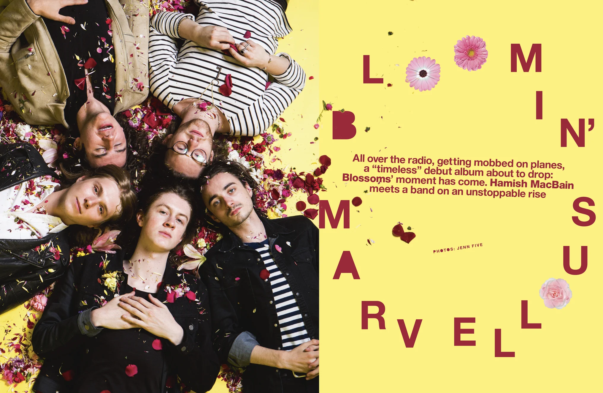 BLOSSOMS.jpg