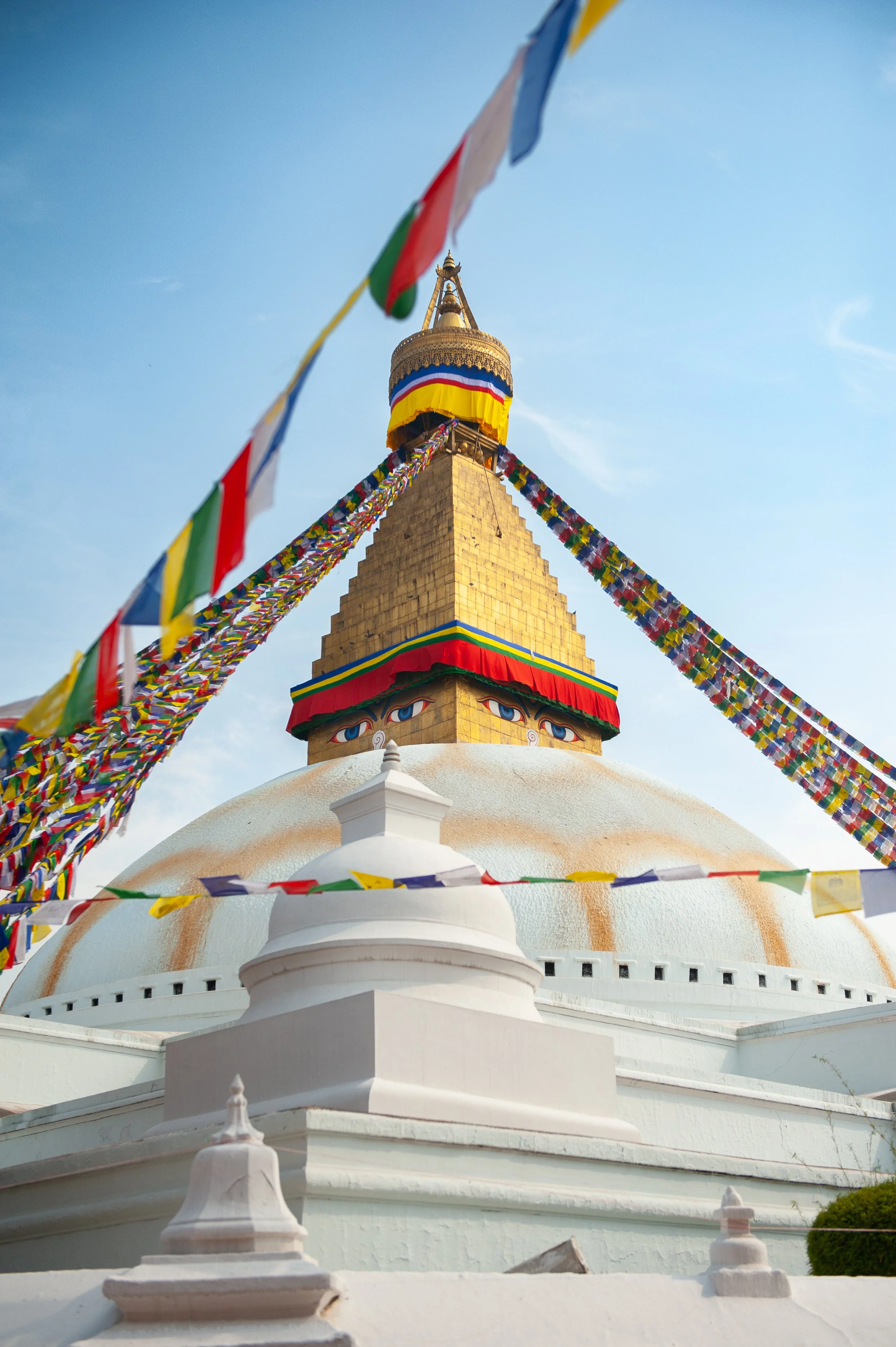 Hope to see you in Nepal this year.