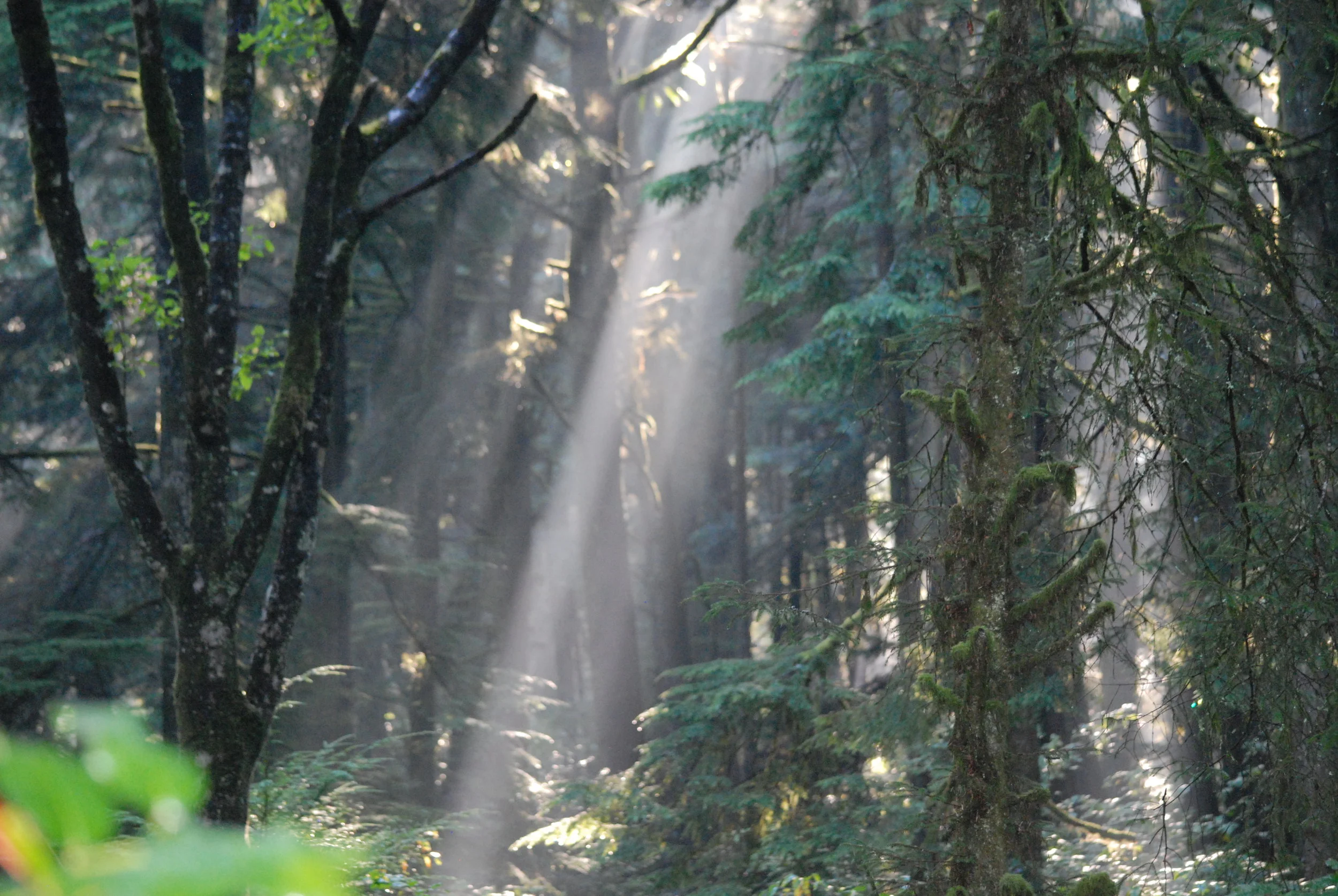 A Druid Prayer of Peace
