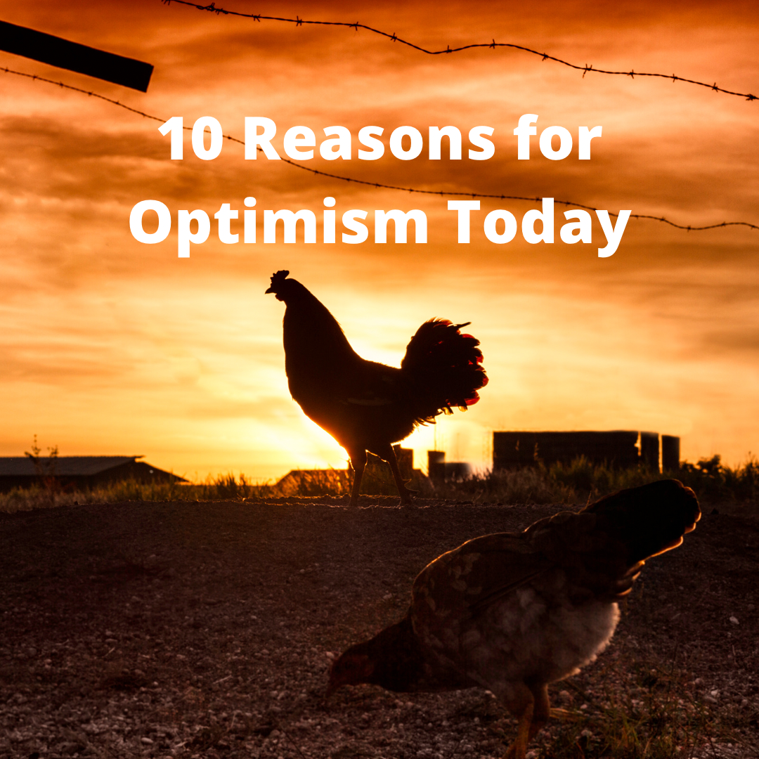 10 Reasons For Optimism Today