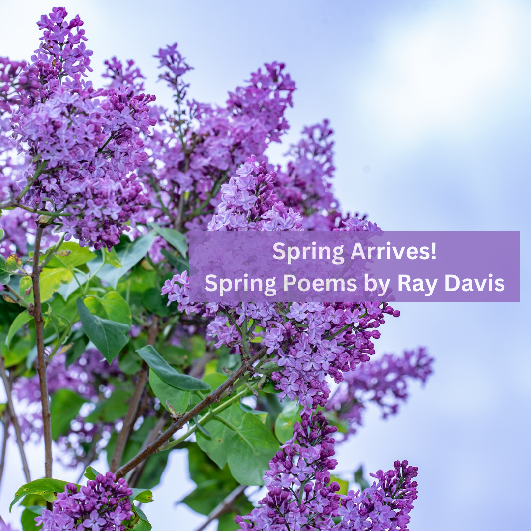 Spring Arrives! - Spring Poems by Ray Davis
