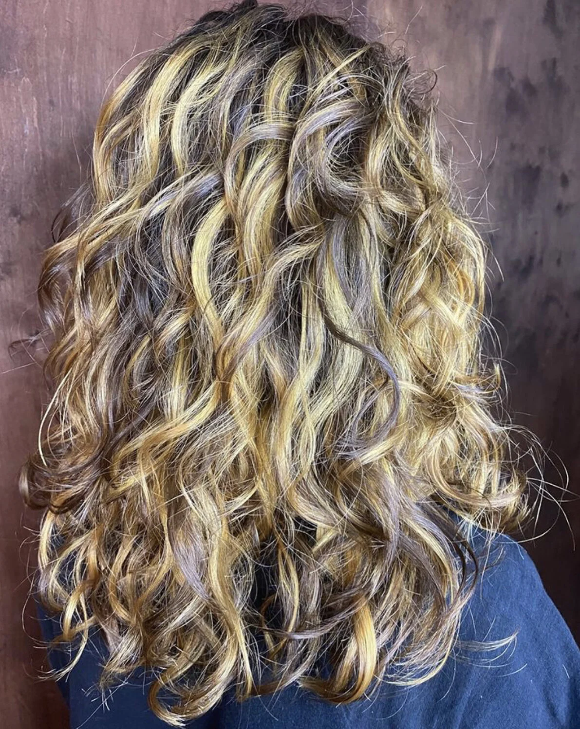 Pintura Highlights — Fringe Salon