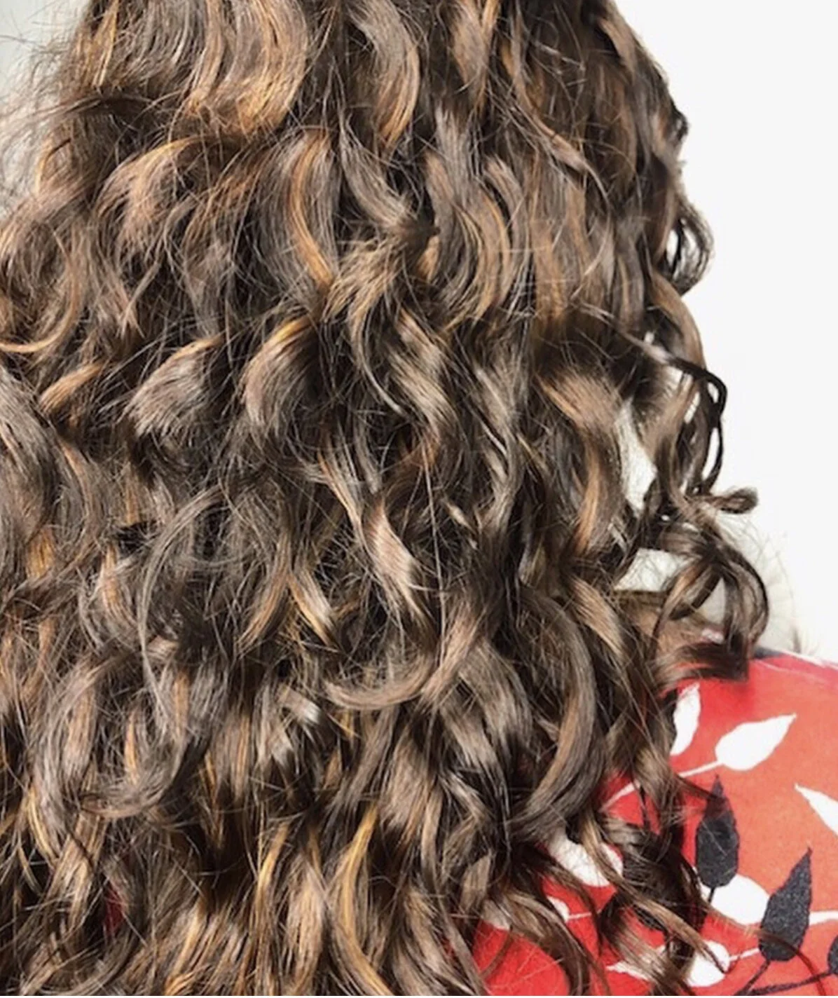 Pintura Highlights — Fringe Salon