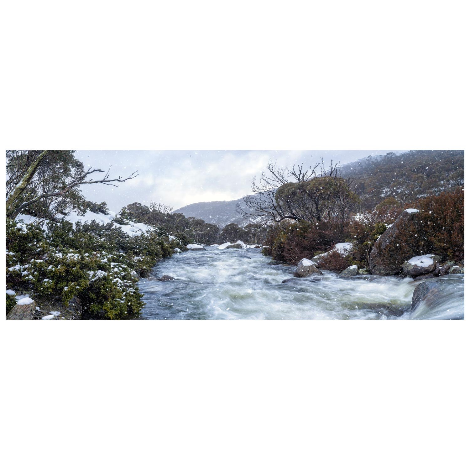Winter-Wonderland.jpg