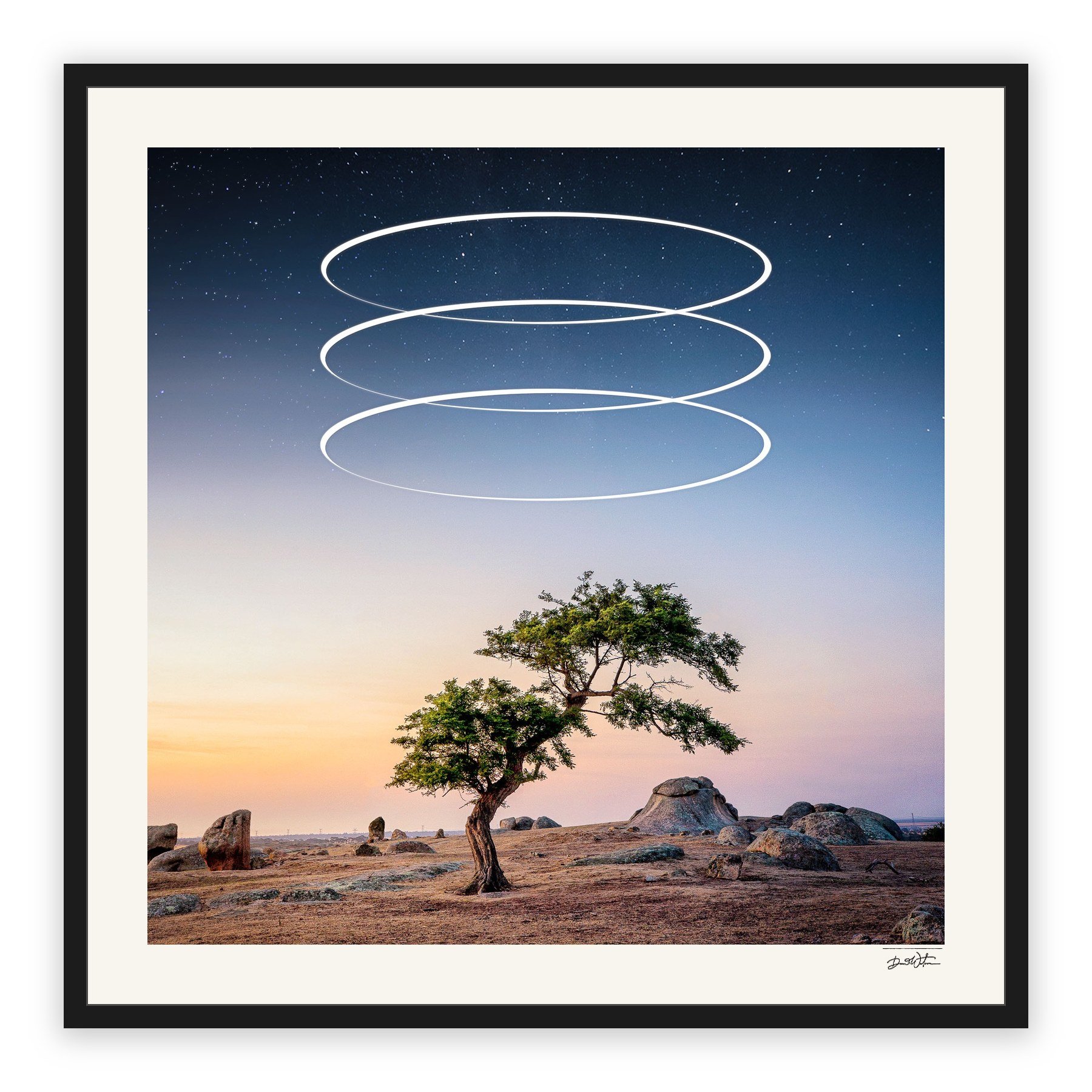 Strength – limited edition fine art photographic print by Dani Watson in a black frame