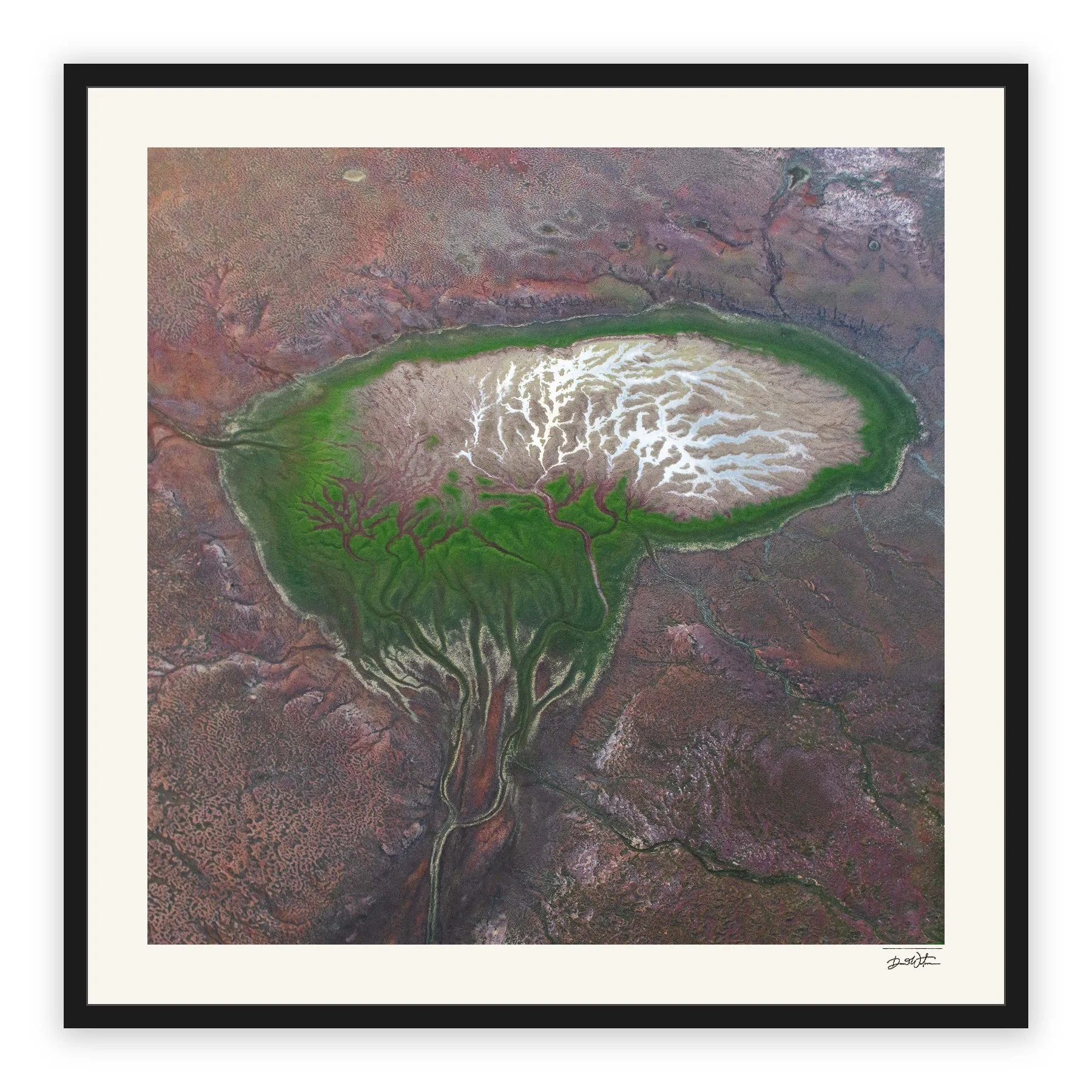 The Brain – limited edition fine art photographic print by Dani Watson in a black frame