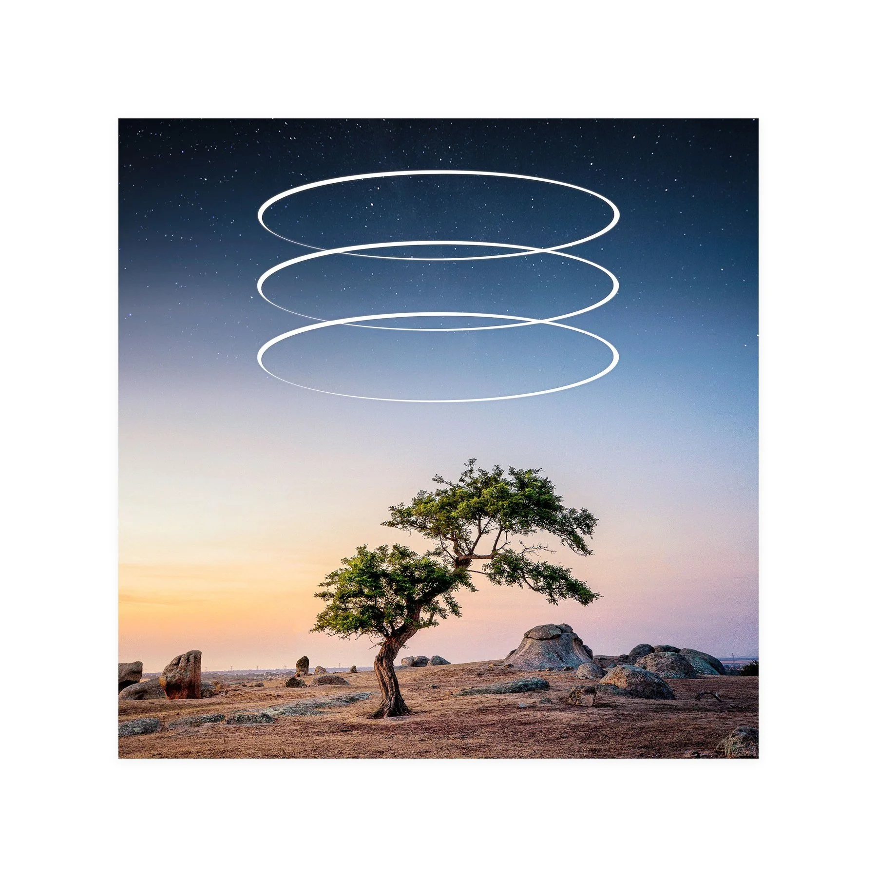 Strength – limited edition fine art photographic print by Dani Watson