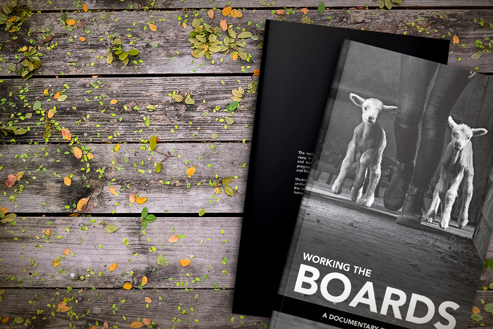 Working The Boards