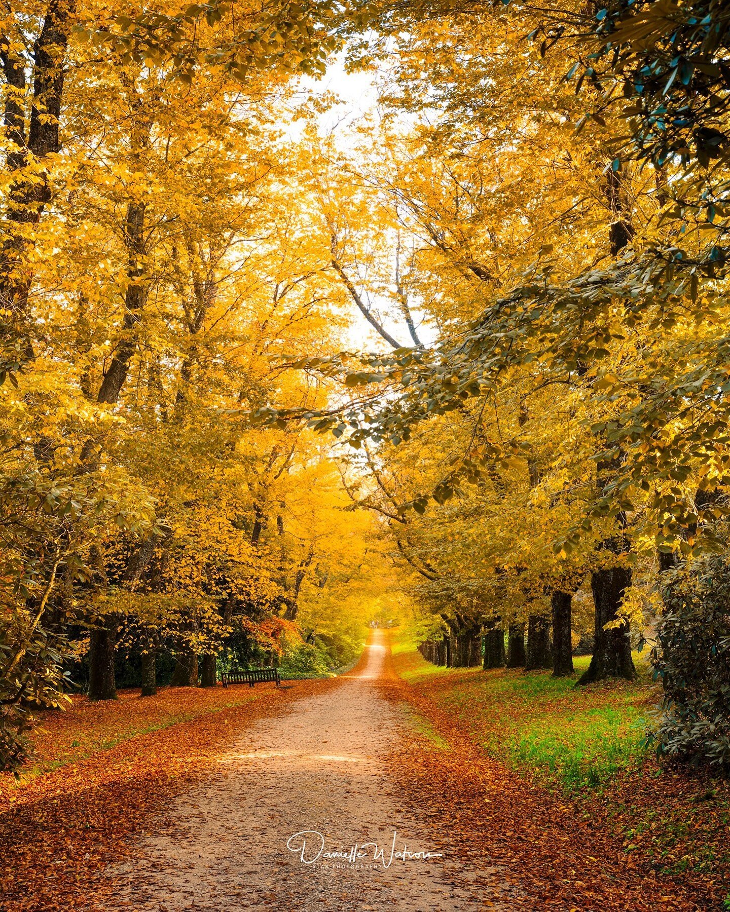 Who doesn&rsquo;t love autumn?
It&rsquo;s really is my favourite time of year, makes me want to get out and explore and there is nothing better than this being so close to home.