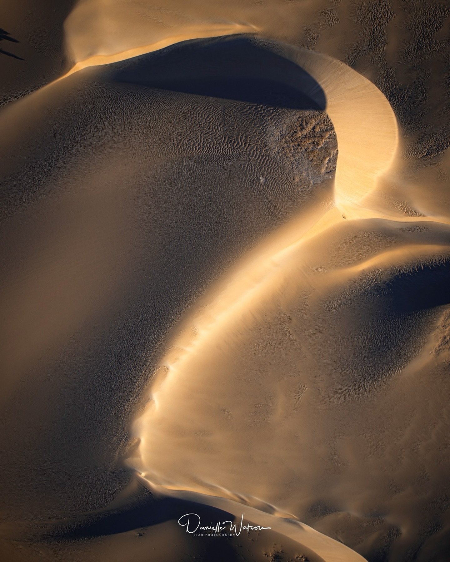 Just had an unforgettable adventure exploring the vast sand dunes, and it reminded me of something crucial &ndash; being in the right place at the right time truly makes all the difference, especially when it comes to photography. The way the lightin