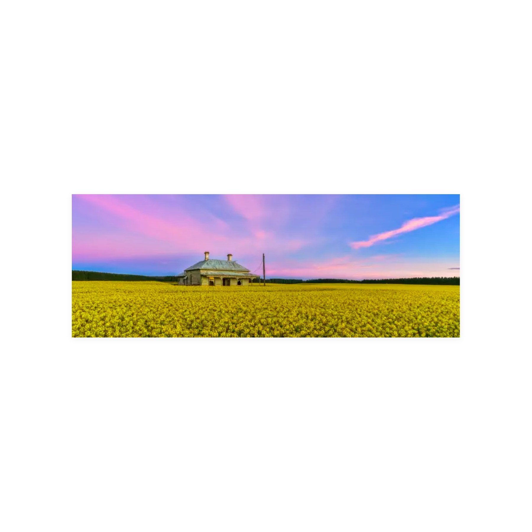 Whispering Fields – limited edition fine art photographic print by Dani Watson