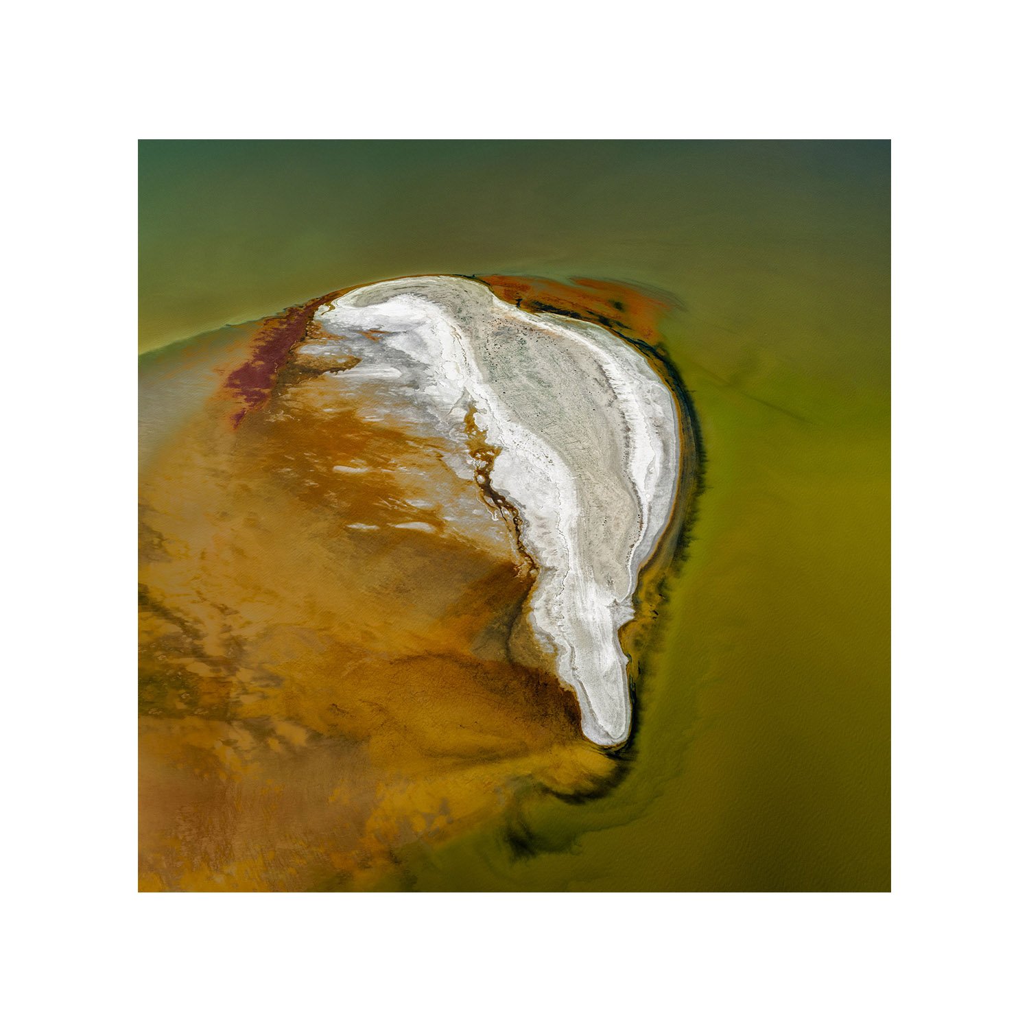 Islands, an abstract square aerial photograph of landforms within Lake Eyre