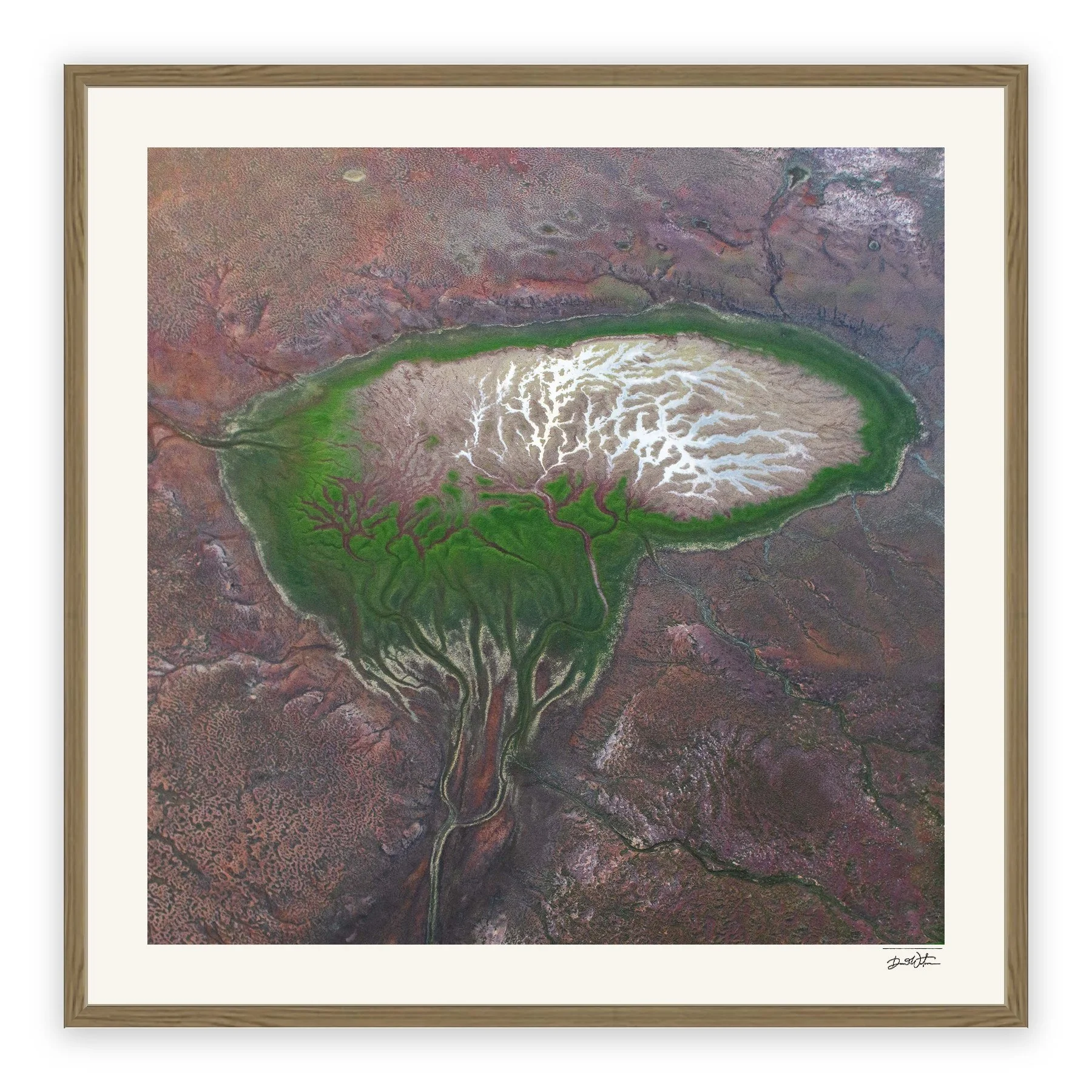 The Brain – limited edition fine art photographic print by Dani Watson in a raw oak frame
