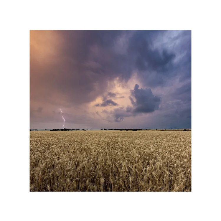 Harvest Storm, fine art print by Dani Watson