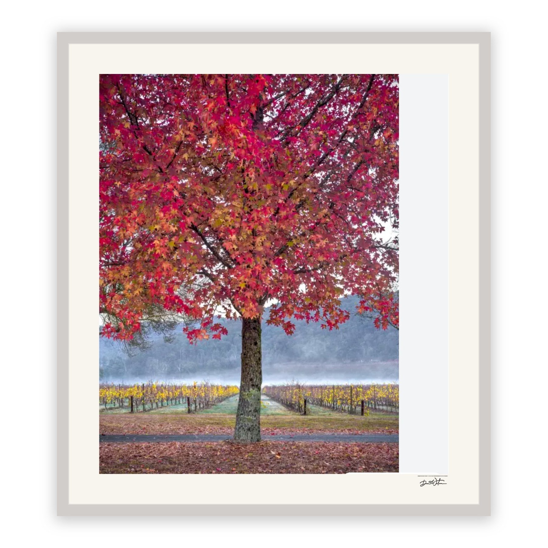 Autumn Glory – limited edition fine art photographic print by Dani Watson in a white frame