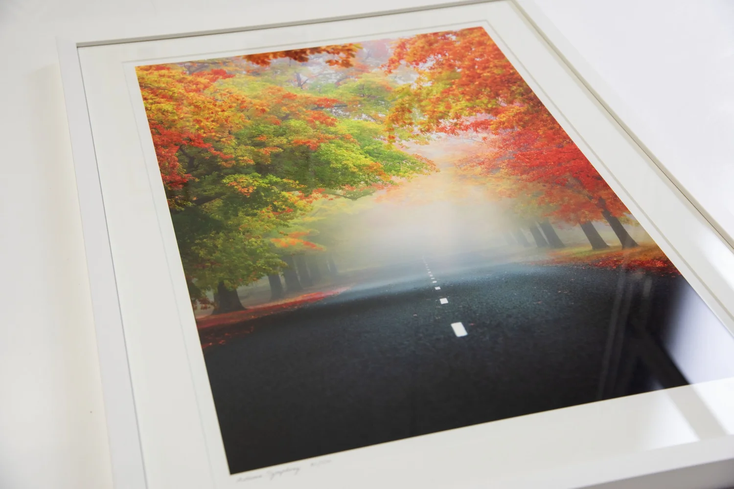 Professionally framed autumn landscape fine art photograph