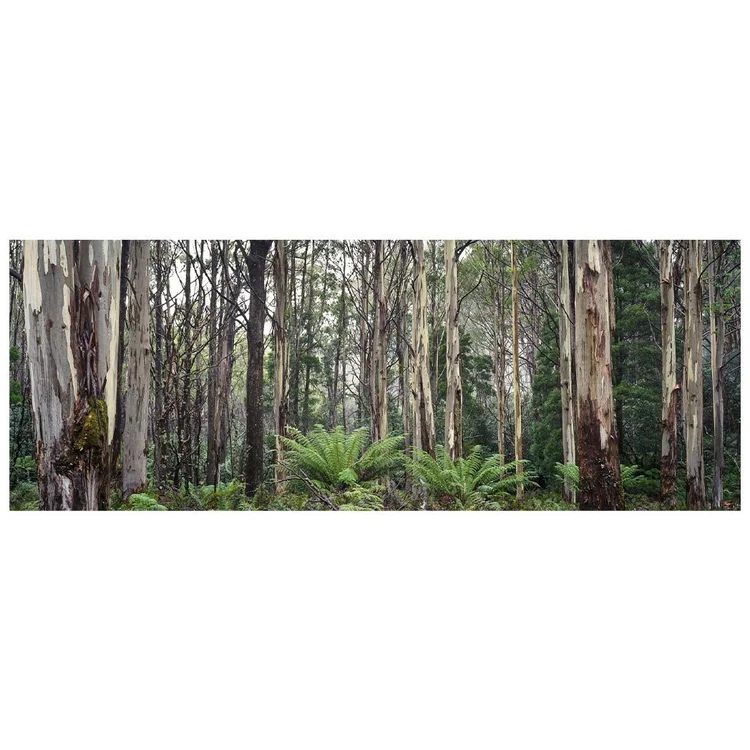 Silent Sentinels, fine art print by Dani Watson