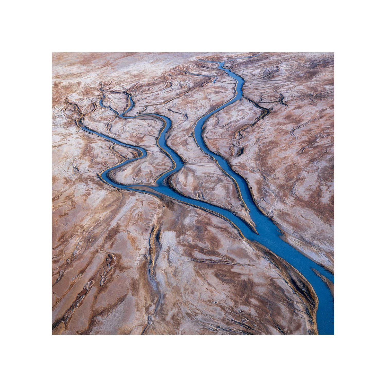 River of Life, an abstract aerial photograph of branching green channels across Lake Eyre