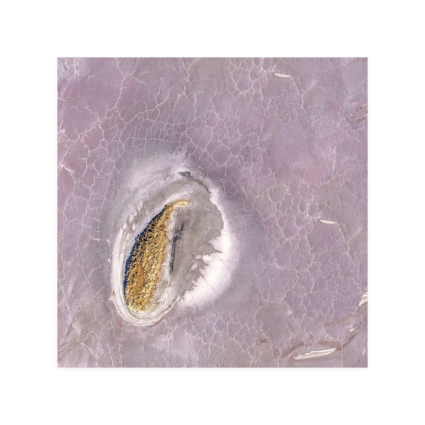 Dragons Eye – limited edition fine art photographic print by Dani Watson