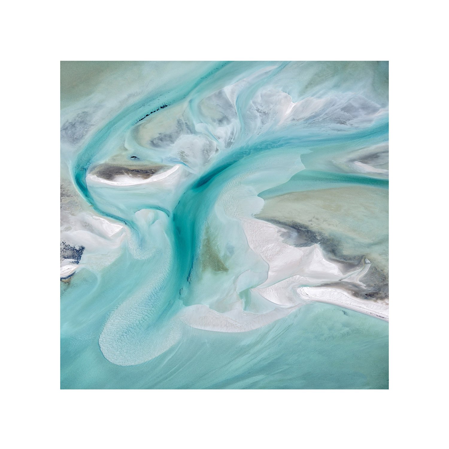 Aerial view of tidal inlet in Shark Bay, resembling a turquoise tree
