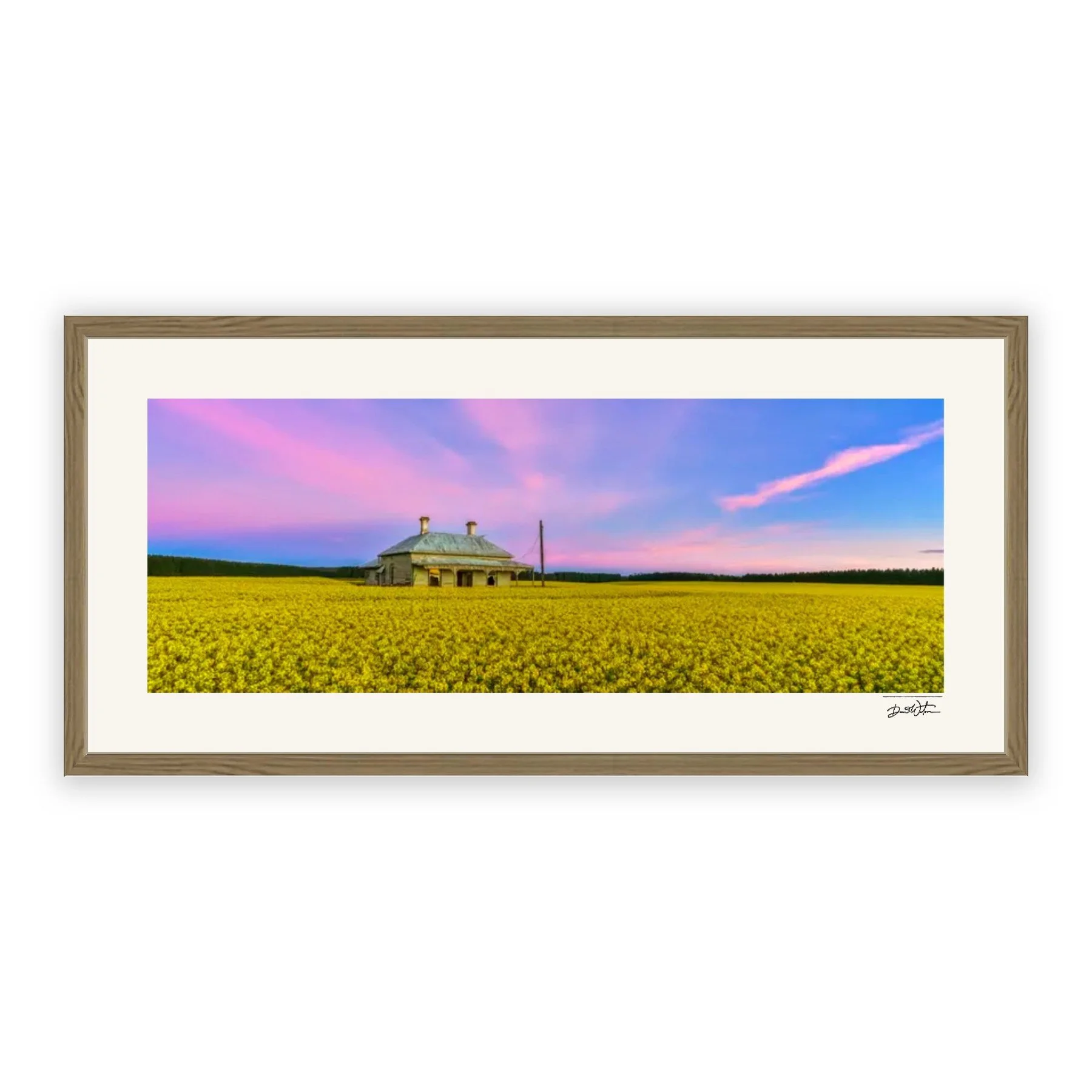 Whispering Fields – limited edition fine art photographic print by Dani Watson in a raw oak frame