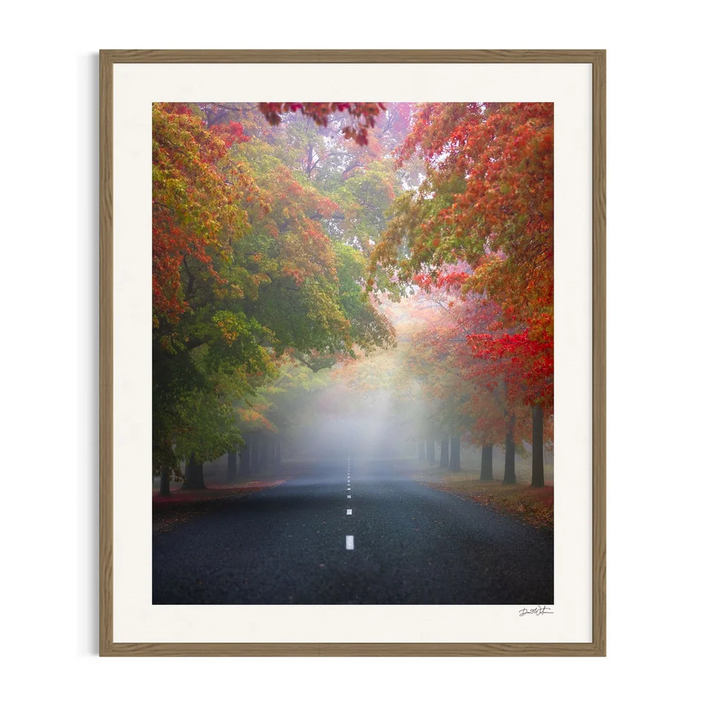 Autumn Symphony, framed in Tasmanian oak