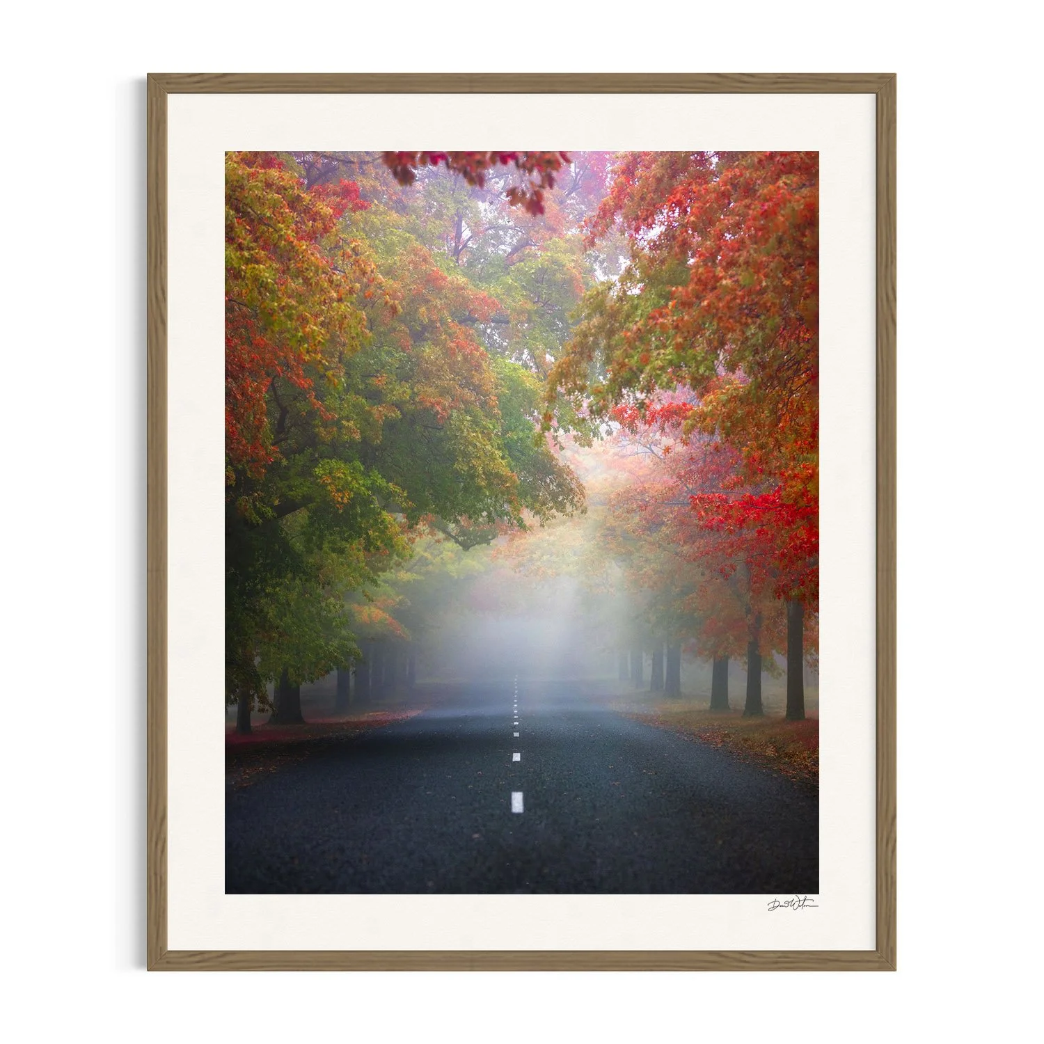 Autumn Symphony framed in Tasmanian oak