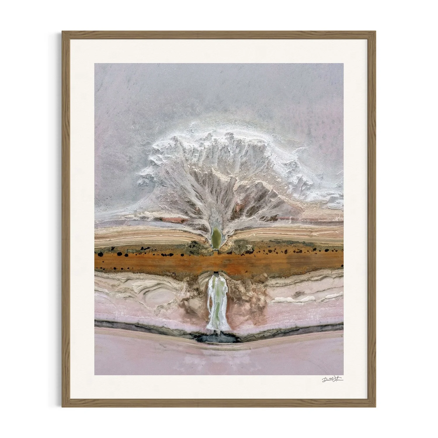 Tree-like salt pattern at Lake Tyrell in raw frame
