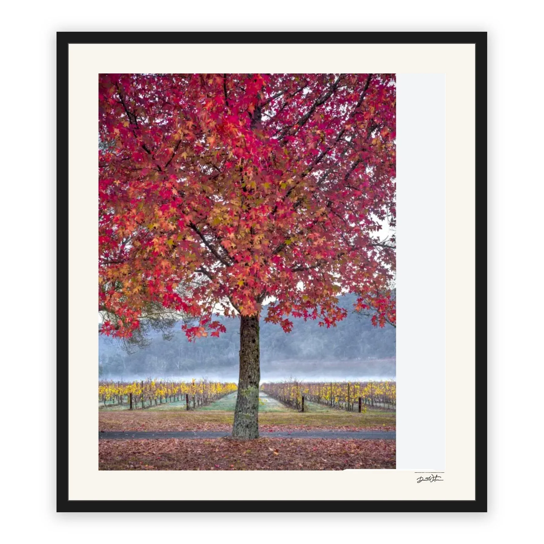 Autumn Glory – limited edition fine art photographic print by Dani Watson in a black frame