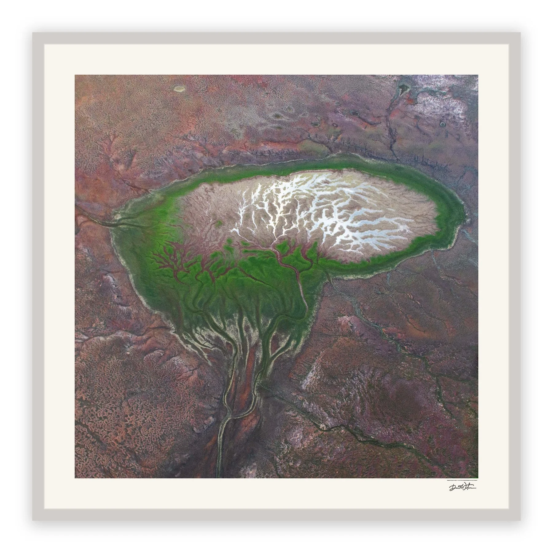 The Brain – limited edition fine art photographic print by Dani Watson in a white frame