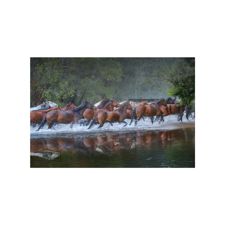 Thundering Herd, fine art print by Dani Watson