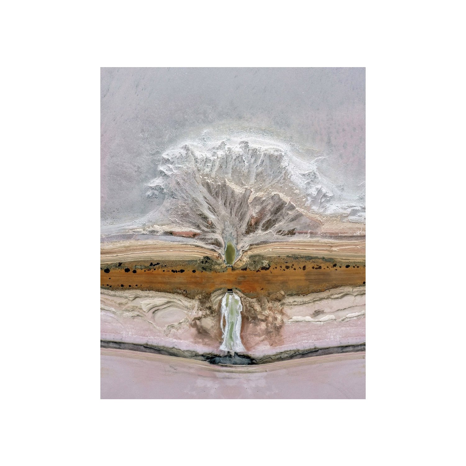 Tree-like salt pattern at Lake Tyrell