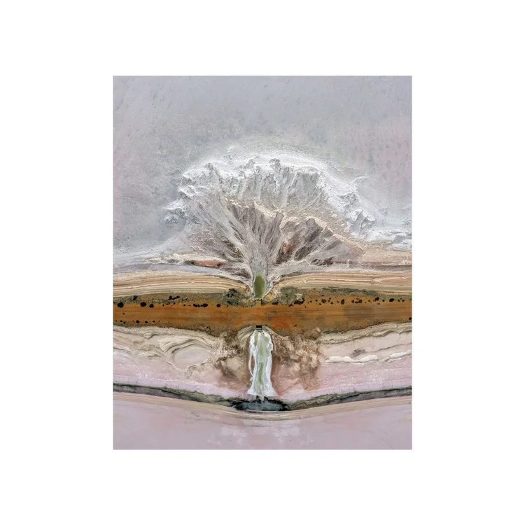 Salt Tree, fine art print by Dani Watson