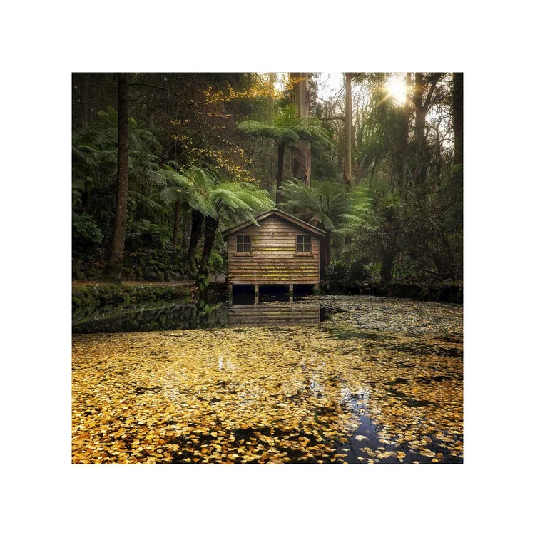 Whispers of Autumn, fine art print by Dani Watson