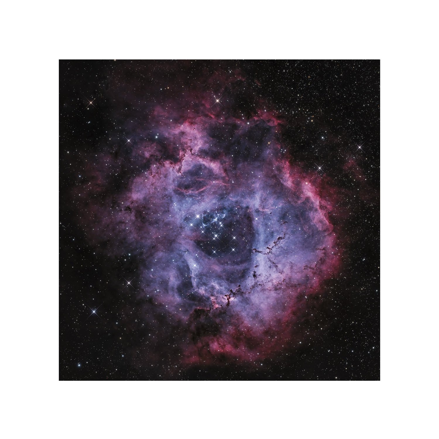 Rosette Nebula, deep space photography