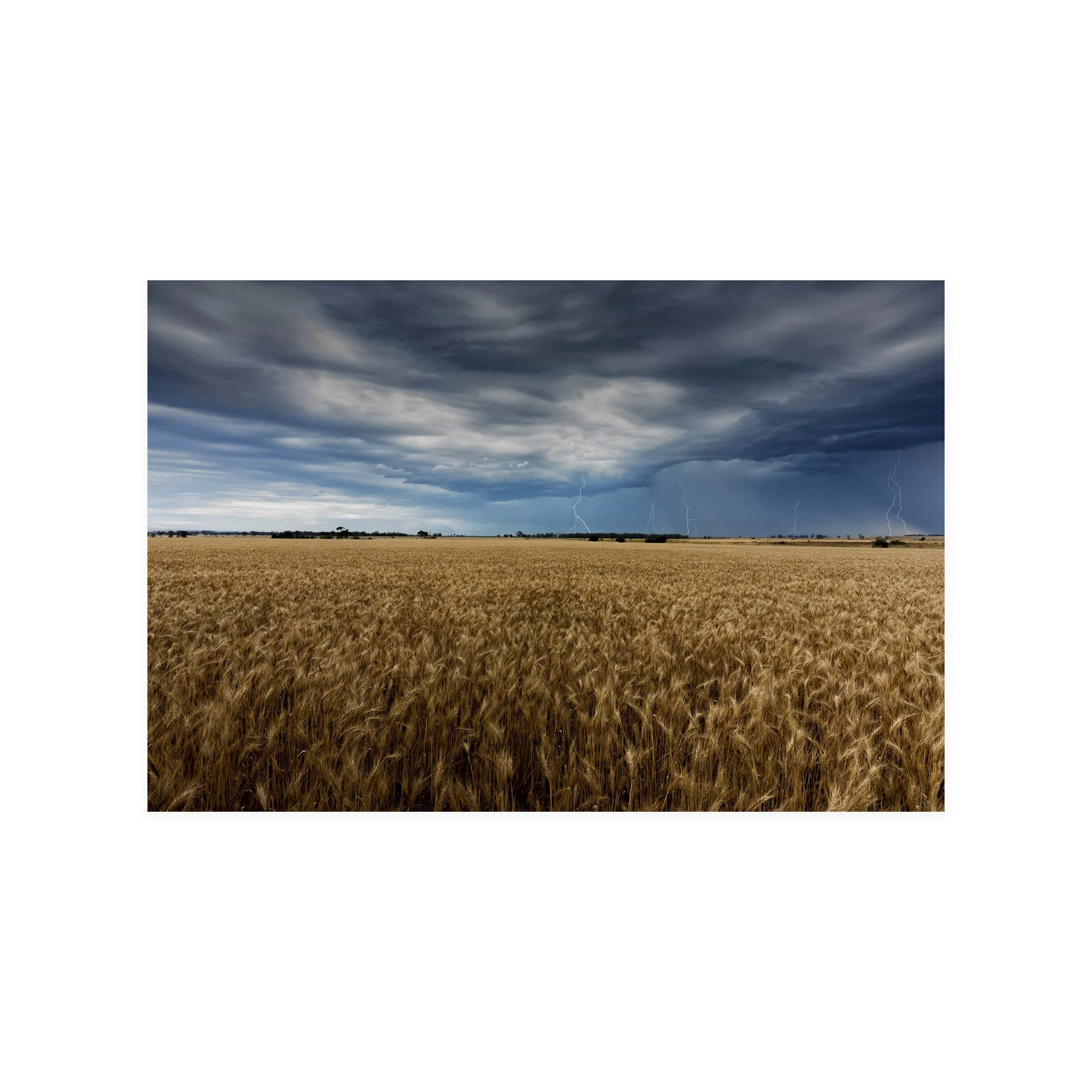 Gold Beneath the Storm – limited edition fine art photographic print by Dani Watson