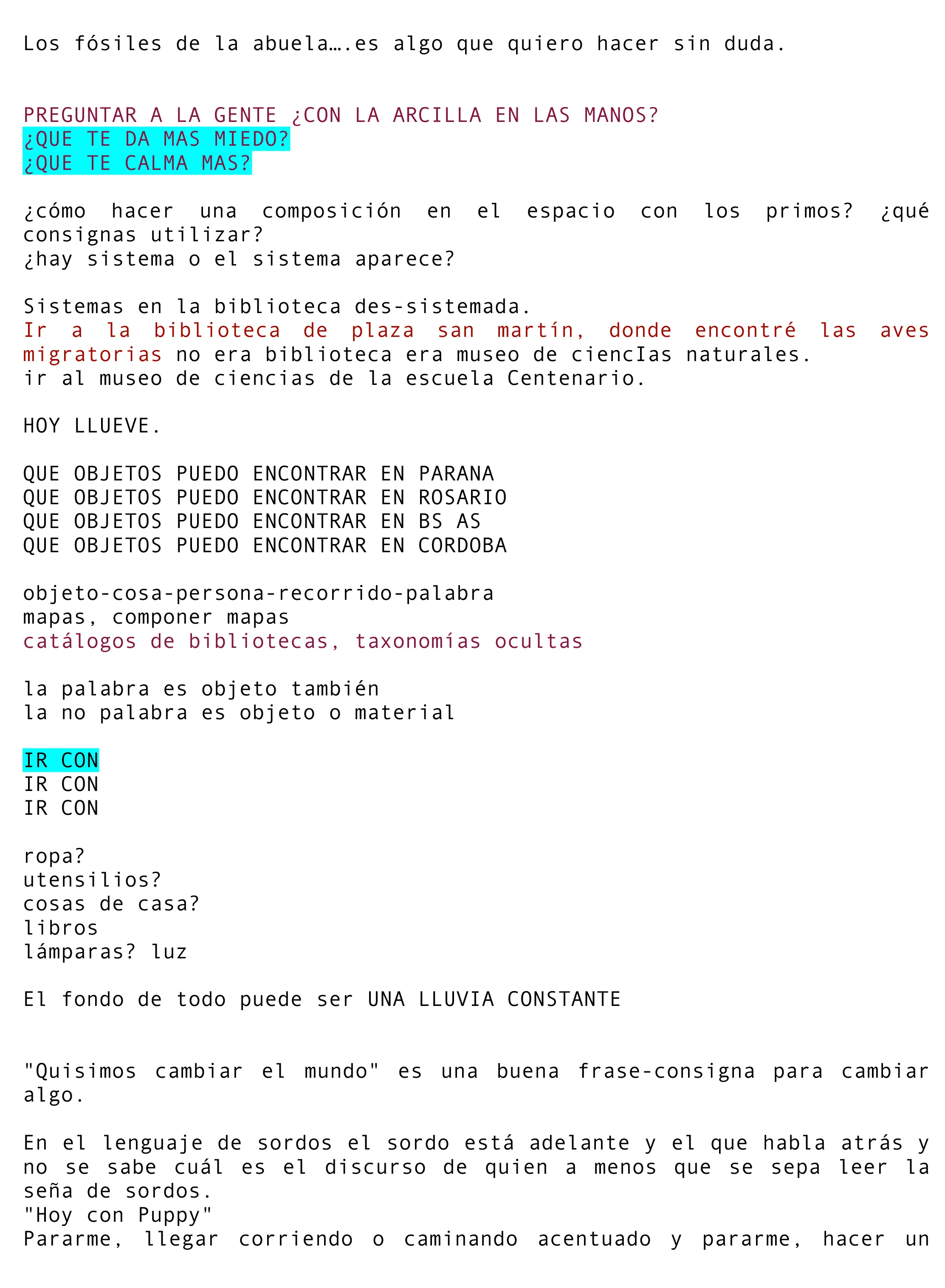 DIARIO_ARGENTINA-5.jpg