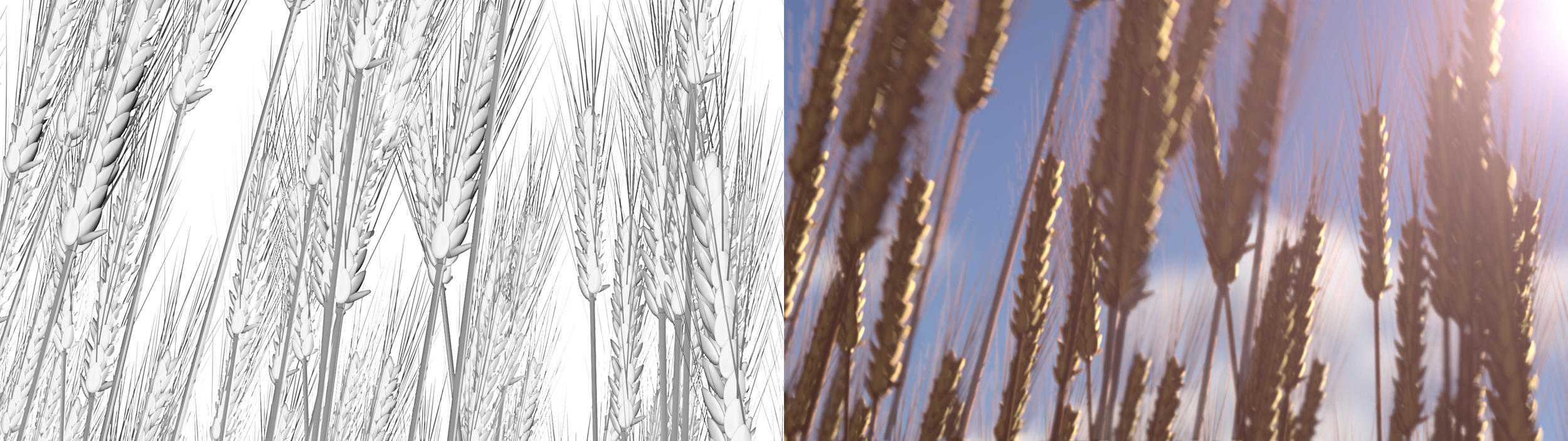 BarleyVFX.png
