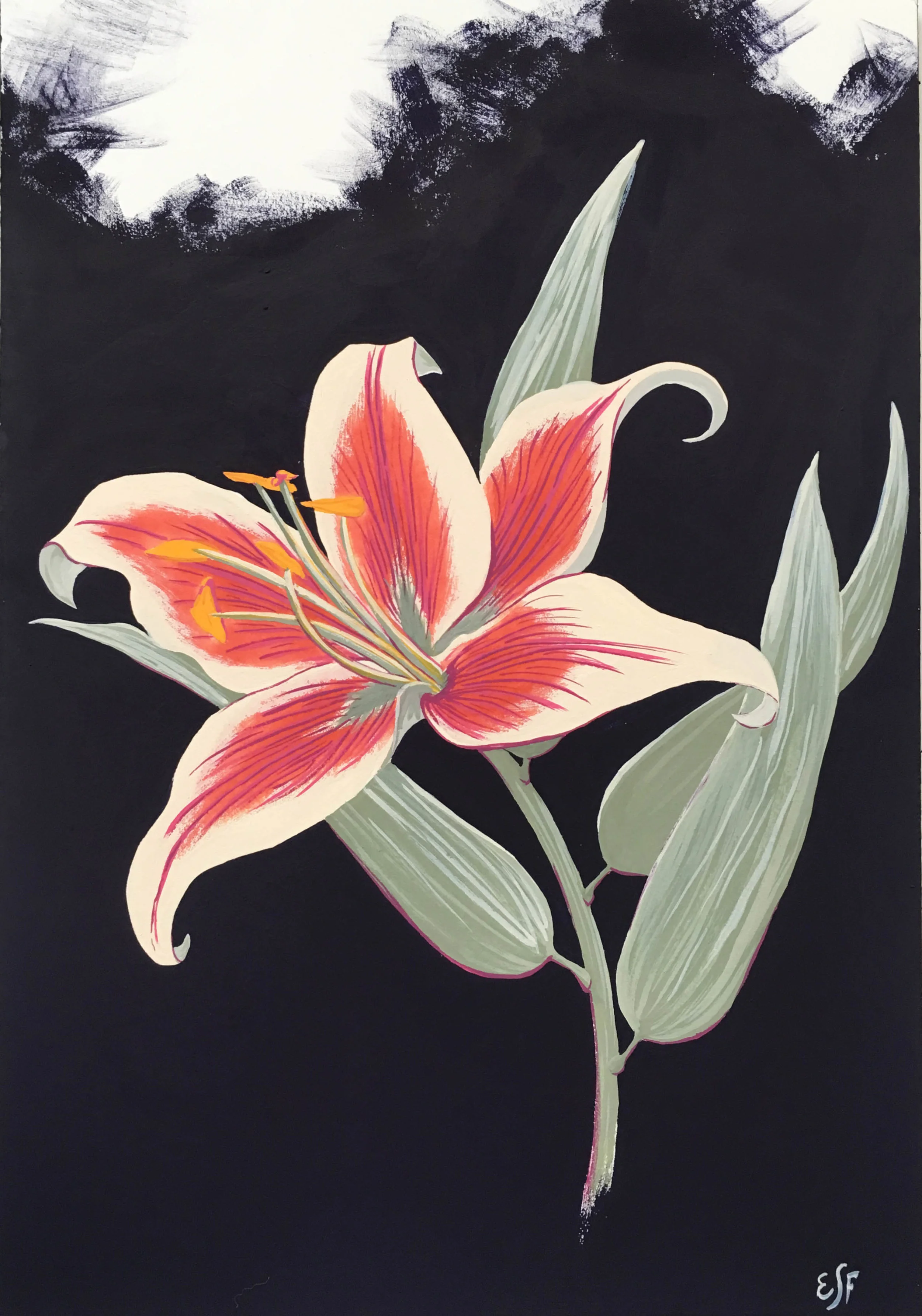 Day Lily, gouache, 11x7"