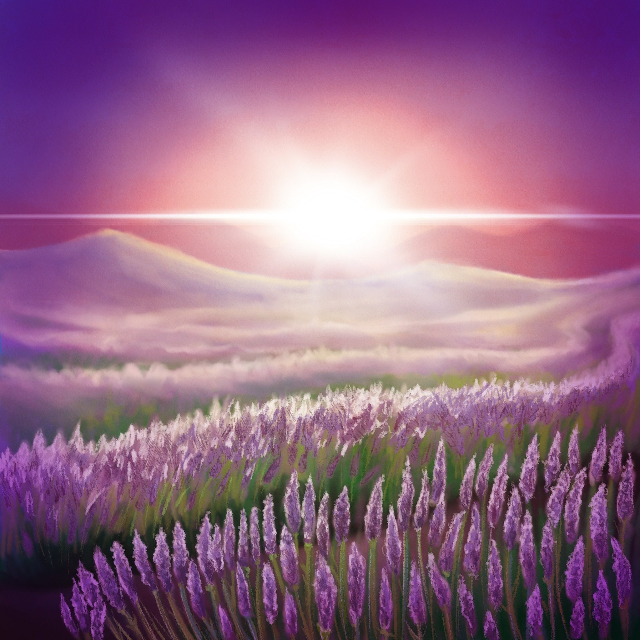 image-asset.jpg